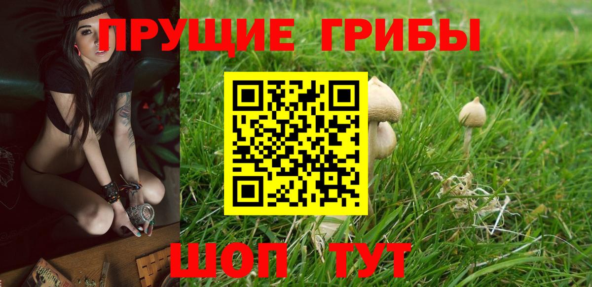 Королёв  Галлюциногенные грибы мицелий  где можно купить наркотик  Вход с VPN 